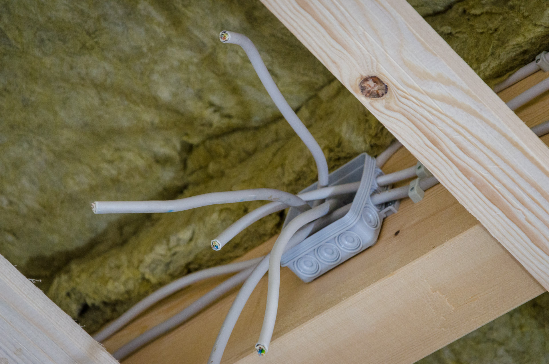 Mehr über den Artikel erfahren Elektrik, Treppe und Ameisensperre