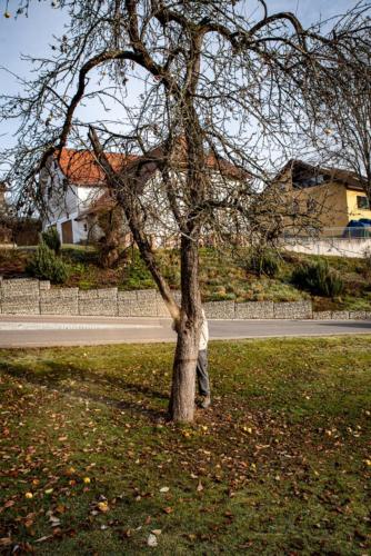 0010-106219-2020.11.21-11 28 00-NIKON D750