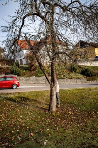 0011-106220-2020.11.21-11 28 10-NIKON D750