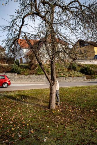 0012-106221-2020.11.21-11 28 10-NIKON D750