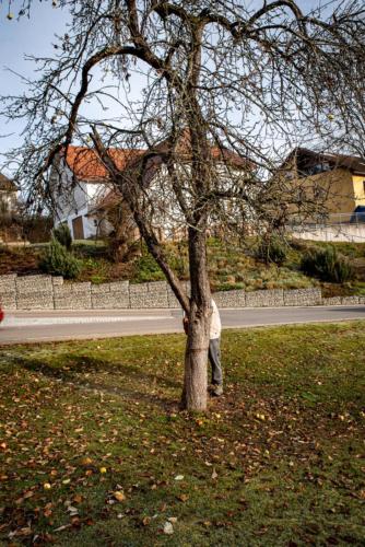 0013-106222-2020.11.21-11 28 10-NIKON D750