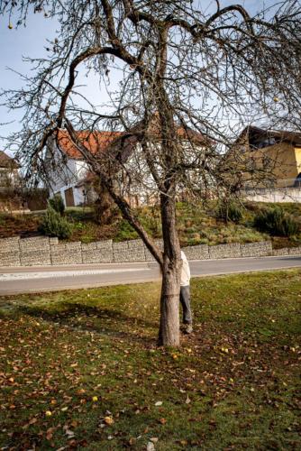 0014-106223-2020.11.21-11 28 15-NIKON D750