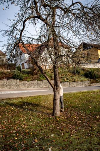 0015-106224-2020.11.21-11 28 15-NIKON D750