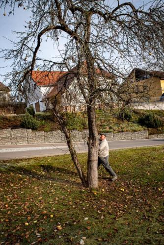 0018-106227-2020.11.21-11 28 16-NIKON D750