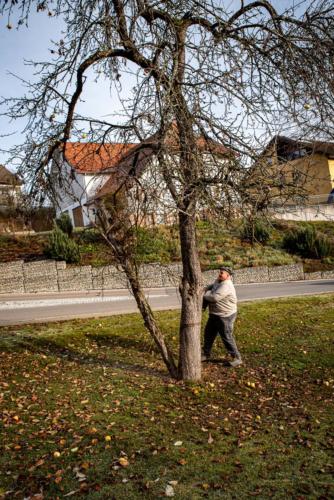 0019-106228-2020.11.21-11 28 17-NIKON D750