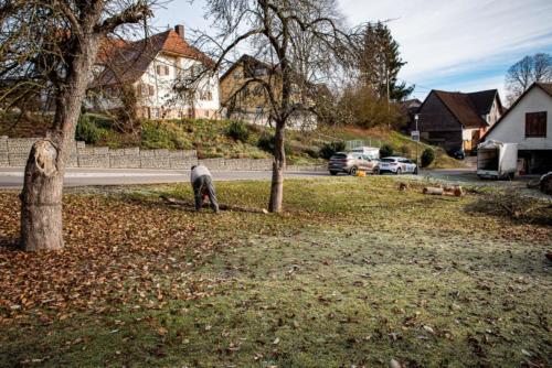 0023-106232-2020.11.21-11 28 49-NIKON D750