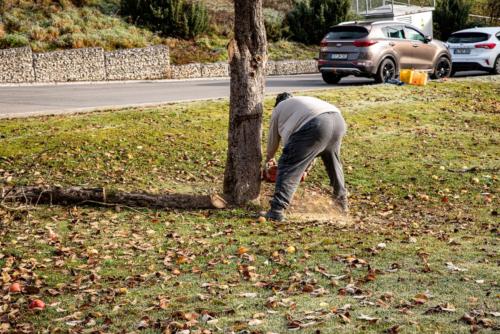 0024-106233-2020.11.21-11 29 14-NIKON D750