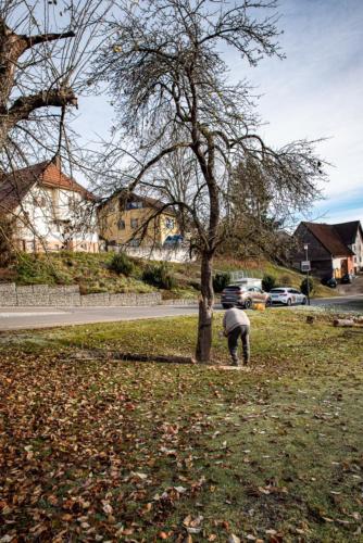 0025-106234-2020.11.21-11 29 41-NIKON D750