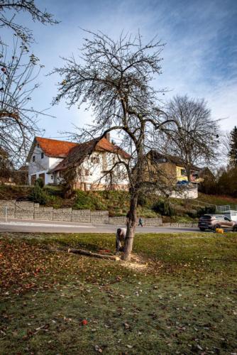 0027-106236-2020.11.21-11 32 22-NIKON D750