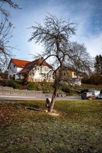 0028-106237-2020.11.21-11 32 23-NIKON D750