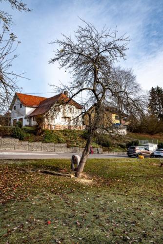 0029-106238-2020.11.21-11 32 23-NIKON D750