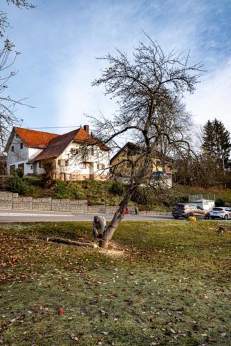 0031-106240-2020.11.21-11 32 24-NIKON D750