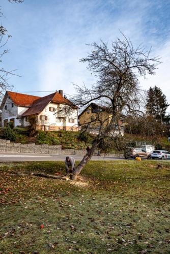 0032-106241-2020.11.21-11 32 24-NIKON D750