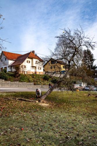 0033-106242-2020.11.21-11 32 24-NIKON D750