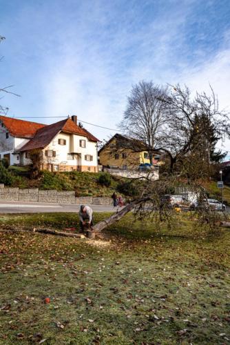 0034-106243-2020.11.21-11 32 24-NIKON D750