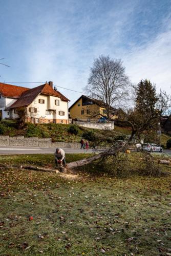 0035-106244-2020.11.21-11 32 24-NIKON D750