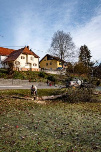 0036-106245-2020.11.21-11 32 25-NIKON D750