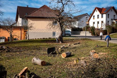 0038-106247-2020.11.21-12 35 25-NIKON D750