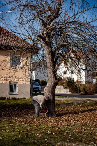 0039-106248-2020.11.21-12 35 47-NIKON D750