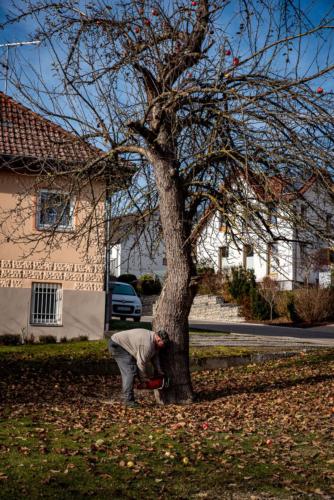 0040-106249-2020.11.21-12 35 47-NIKON D750