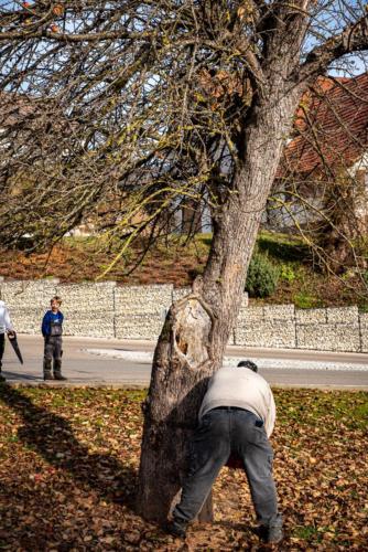 0041-106250-2020.11.21-12 36 07-NIKON D750