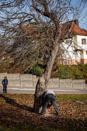 0042-106251-2020.11.21-12 36 20-NIKON D750