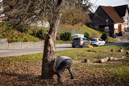 0043-106252-2020.11.21-12 37 56-NIKON D750