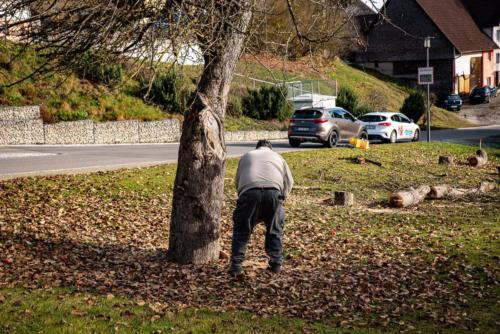 0044-106253-2020.11.21-12 37 59-NIKON D750