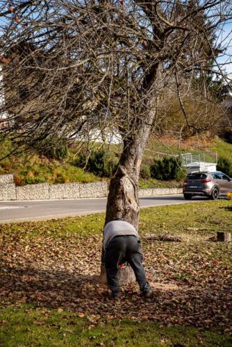 0046-106255-2020.11.21-12 39 04-NIKON D750