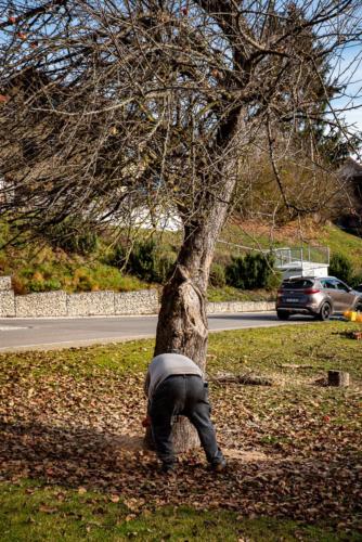 0047-106256-2020.11.21-12 39 06-NIKON D750