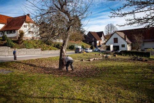 0048-106257-2020.11.21-12 39 10-NIKON D750