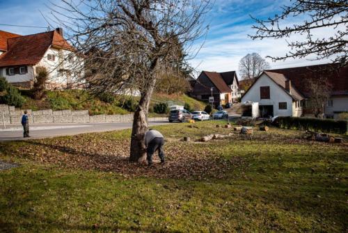 0049-106258-2020.11.21-12 39 12-NIKON D750