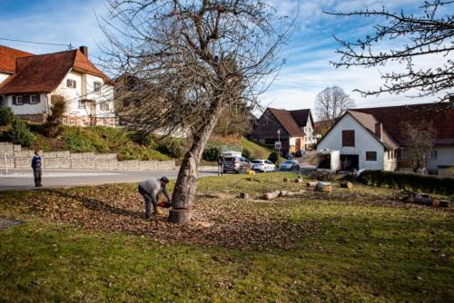 0050-106259-2020.11.21-12 39 44-NIKON D750