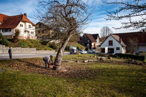 0051-106260-2020.11.21-12 39 44-NIKON D750