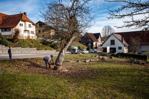 0052-106261-2020.11.21-12 39 44-NIKON D750