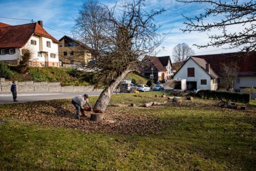 0053-106262-2020.11.21-12 39 44-NIKON D750