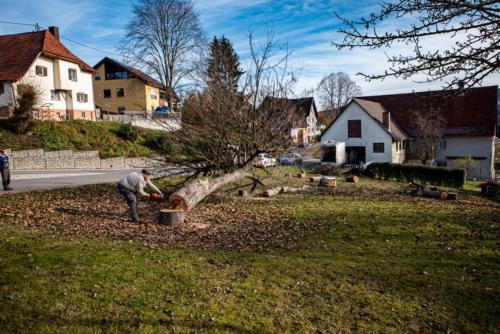 0055-106264-2020.11.21-12 39 45-NIKON D750