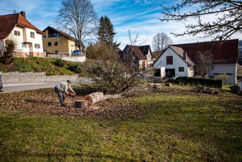 0056-106265-2020.11.21-12 39 45-NIKON D750