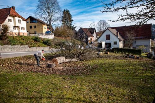 0057-106266-2020.11.21-12 39 45-NIKON D750