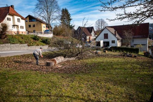 0058-106267-2020.11.21-12 39 45-NIKON D750