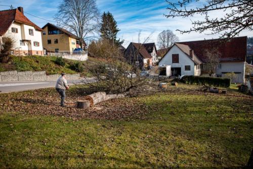 0060-106269-2020.11.21-12 39 46-NIKON D750