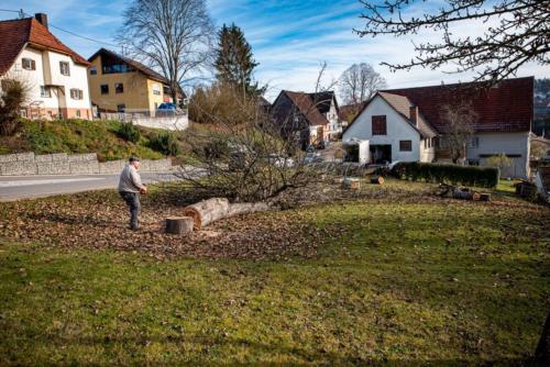 0061-106270-2020.11.21-12 39 46-NIKON D750