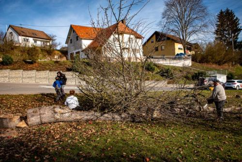 0062-106271-2020.11.21-12 41 22-NIKON D750