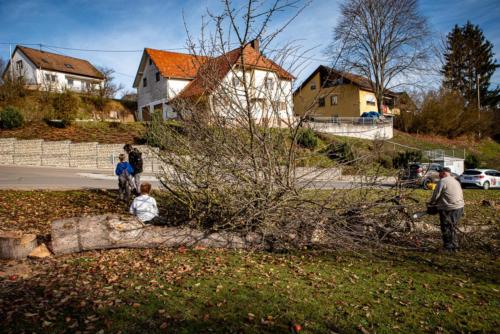 0064-106273-2020.11.21-12 41 22-NIKON D750