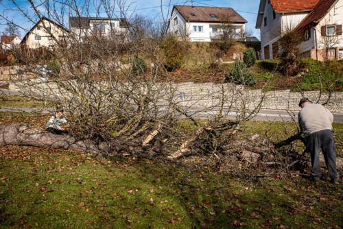 0065-106274-2020.11.21-12 41 33-NIKON D750