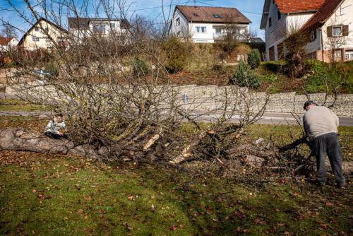 0066-106275-2020.11.21-12 41 33-NIKON D750