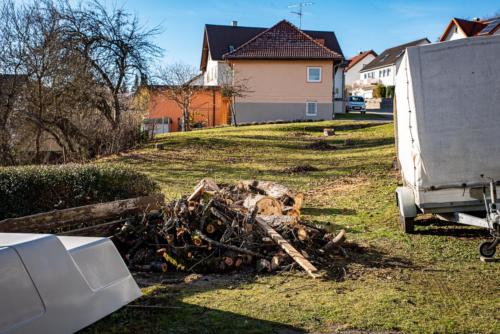 0067-106276-2020.11.21-15 08 39-NIKON D750