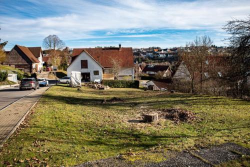 0068-106277-2020.11.21-15 09 13-NIKON D750