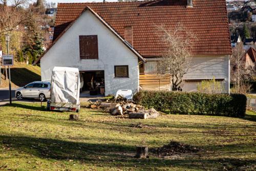 0069-106278-2020.11.21-15 09 16-NIKON D750