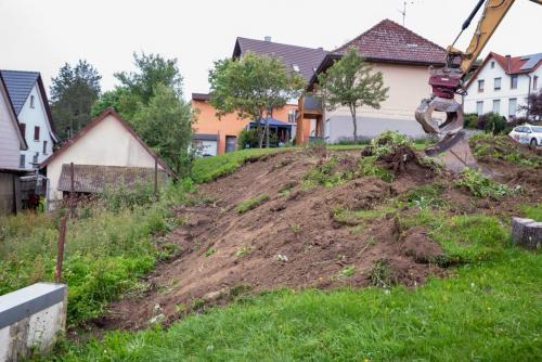 0011-108709-2021.07.24-08 49 13-NIKON-D750